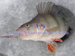 tungsten alloy Mormyszka fishing weight