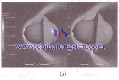 Pressure Distribution - Model