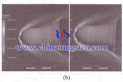 Pressure Distribution - Model